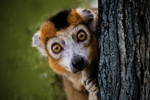 La Madagascar di Alessandra e Gabriele