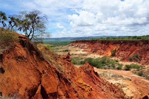 La Madagascar di Alessandra e Gabriele