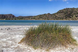 Pantelleria