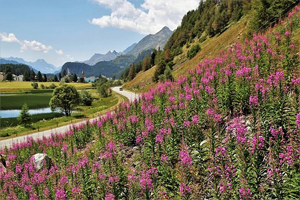 Tour Alto Adige
