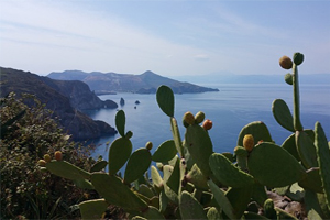 Eolie