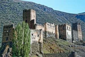 Tour Organizzati