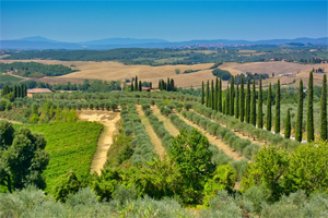 Tour Toscana