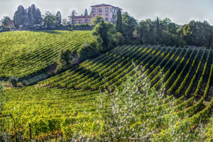 Tour Toscana