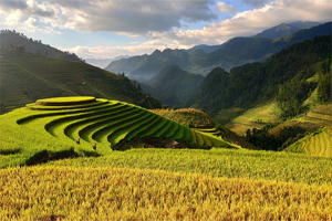 Vietnam