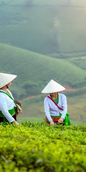 17900000765692_vietnam1.jpg